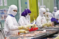 Việt Nam cần nhiều nỗ lực và cải cách hơn nữa 