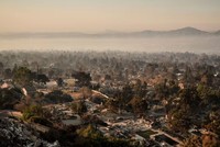 Cảnh tàn phá do cháy rừng tại Altadena, California, Mỹ. Ảnh: AP/TTXVN