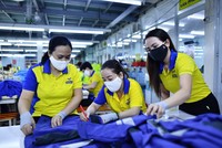 VN-Index hướng tới vùng 1.600-1.640 điểm, dệt may tìm cơ hội giữa thách thức