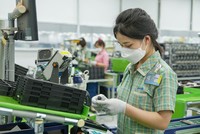 Máy vi tính, sản phẩm điện tử và linh kiện xuất sang Hà Lan năm 2024 lên tới 3,4 tỷ USD, tăng gần 45% so với 2023.