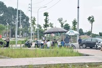 Những lô đất tạo nên phiên đấu giá gây xôn xao thị trường tại Hoài Đức tháng 10/2024. Ảnh: Anh Vũ 