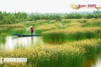 Đất và người cù lao Nam Bộ