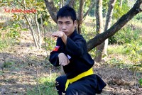 Xà quyền hiện nay được lưu truyền chủ yếu thông qua các bài quyền cổ trong Võ cổ truyền.