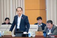 Chủ nhiệm Uỷ ban Pháp luật Hoàng Thanh Tùng phát biểu tại phiên họp. 