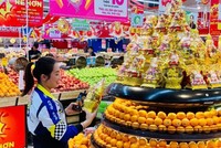 Nhu cầu tiêu dùng tăng cao đã khiến CPI tháng 1/2025 tăng 0,98% so với tháng trước. Tuy nhiên, không có hiện tượng tăng giá đột biến, lợi dụng khan hiếm hàng hóa để thu lợi bất chính