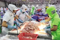 Khi cạnh tranh thương mại gay gắt, các tập đoàn đa quốc gia có xu hướng chuyển dịch sản xuất sang Việt Nam 