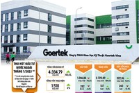 Đã có hơn 4,33 tỷ USD vốn đầu tư nước ngoài đăng ký vào Việt Nam trong tháng 1/2025, tăng 48,6% so với cùng kỳ năm trước. Đây cũng là con số khá lớn nếu tính theo tháng. Ảnh: Goertek. Đồ hoạ: Đan Nguyễn 