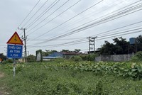 Khu đất của Công ty Hoàn Lệ để hoang hóa nhiều năm vì Dự án vì cấp chồng ranh với Dự án Khu công nghiệp Hựu Thạnh của IDICO.