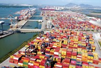 Việt Nam trong vòng xoáy “thương chiến 2.0”: Bất định từ rủi ro đã biết trước 