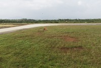 Khu vực thực hiện dự án nâng cấp, mở rộng Cảng hàng không Phù Cát Ảnh: Thùy Trang. 