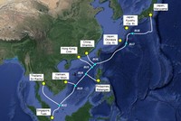  Tuyến cáp quang biển ADC (Asia Direct Cable). Ảnh: VTS