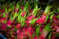 EU gửi 12 cảnh báo do các sản phẩm nông sản, thực phẩm Việt Nam vi phạm quy định an toàn thực phẩm.