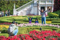 Du khách quốc tế thích thú với trải nghiệm tại Việt Nam. 