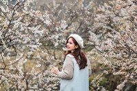 Sắc trắng tinh khôi của hoa mận kéo hàng trăm ngàn lượt du khách về với Mộc Châu trong những ngày đầu năm (Ảnh: H.H) 