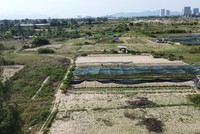 Tỉnh Quảng Nam có 88 dự án đầu tư xây dựng nhà ở, khu dân cư, khu đô thị ngoài khu kinh tế, khu công nghiệp chậm tiến độ trên 24 tháng so với tiến độ trong văn bản chấp thuận chủ trương đầu tư ban đầu. Trong ảnh là các khu đô thị chậm triển khai tại thị xã Điện Bàn. Ảnh: Linh Đan 