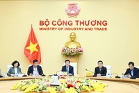 Đại diện UBND tỉnh Bình Định, Đại sứ quán Thụy Điển và Tập đoàn Syre tại buổi làm việc với lãnh đạo Bộ Công thương. 