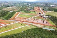 Bảo Lộc xin hướng dẫn gỡ vướng khi tách, hợp thửa và chuyển mục đích sử dụng đất 