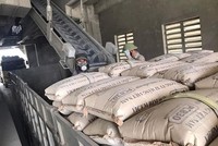 Xuất khẩu xi măng, clinker trong tháng 1/2025 tiếp tục giảm sâu 36,7% về lượng và 36% về trị giá. 