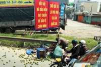  Tỷ lệ mua bảo hiểm xe máy đã tăng lên trong 3 tháng qua 