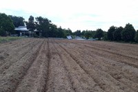 Doanh nghiệp “ôm đất” gần 9 năm vẫn chưa có hướng giải quyết 