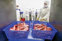 Xuất khẩu thủy sản tăng trưởng khá trong 2 tháng đầu năm (Ảnh: Đức Thanh)