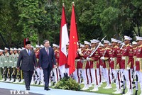 Tổng Bí thư Tô Lâm và Tổng thống Indonesia Prabowo Subianto duyệt đội danh dự trong Lễ đón tại Phủ Tổng thống. Ảnh: TTXVN