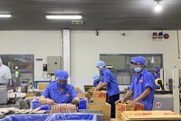 Nhiều doanh nghiệp chưa nắm rõ các quy định và chính sách về ESG.