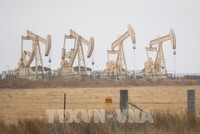 Giàn khoan dầu tại Texas, Mỹ. (Ảnh: THX/TTXVN)