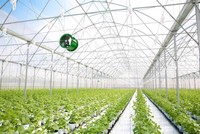 Hà Nội sẽ phát triển chuỗi cung ứng hiện đại, liên kết sản xuất với tiêu thụ, hỗ trợ xây dựng thương hiệu nông sản công nghệ cao.