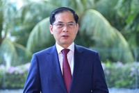 Phó thủ tướng, Bộ trưởng Bộ Ngoại giao Bùi Thanh Sơn trả lời phỏng vấn về chuyến thăm của Tổng Bí thư tới Indonesia và Singapore. Ảnh: Bộ Ngoại giao