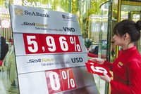 Các ngân hàng đang dồi dào thanh khoản, dư thừa room tín dụng và đều muốn đẩy mạnh cho vay. Ảnh: Đức Thanh 