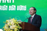 Phần lớn doanh nghiệp vừa và nhỏ vẫn còn lúng túng với chuyển đổi xanh 