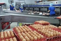 Singapore chính thức mở cửa thị trường một số sản phẩm thịt và trứng gia cầm từ Việt Nam. 