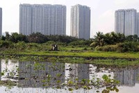 Nghị quyết thí điểm thực hiện dự án nhà ở thương mại thông qua thỏa thuận về nhận quyền sử dụng đất hoặc đang có quyền sử dụng đất sẽ tháo gỡ cho 343 dự án tại TP.HCM. Ảnh: Lê Toàn