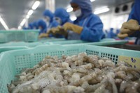 Thủy sản là một trong những mặt hàng Việt Nam khó có thể cạnh tranh tại thị trường Mỹ trong thời gian tới 