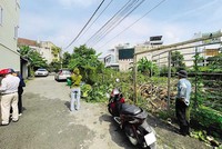 Khách và sales bất động sản đang xem một lô đất nền.