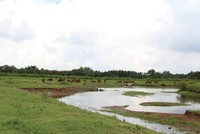 Một góc dự án Khu dân cư Bắc Phước Kiển tại huyện Nhà Bè, TP.HCM.