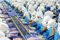 Người dân, doanh nghiệp thủy sản Việt Nam cần bình tĩnh, tránh tâm lý lo sợ ảnh hưởng đến sản xuất.