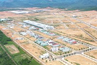 Khu công nghiệp Becamex Bình Định thu hút dự án 52 triệu USD từ Đan Mạch 