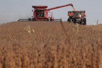 Nông sản Mỹ rộng đường vào Việt Nam 