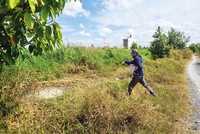 Một cò đất dẫn khách TP.HCM đi xem nền ở... tỉnh khác.