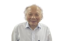 GS-TSKH. Nguyễn Mại, Chủ tịch Hiệp hội Doanh nghiệp đầu tư nước ngoài (VAFIE) 