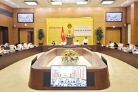 Phiên thẩm tra của Ủy ban Kinh tế và Tài chính của Quốc hội 