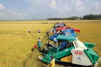 Nông nghiệp đóng góp gần 15% GDP quốc gia, là ngành kinh tế nền tảng đảm bảo an sinh xã hội, nhưng cũng là lĩnh vực chịu nhiều rủi ro.