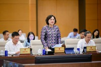 Thống đốc Ngân hàng Nhà nước Nguyễn Thị Hồng trình bày tại phiên họp của Ủy ban Thường vụ Quốc hội ngày 24/4. 
