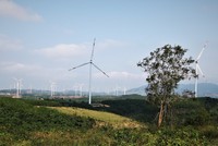 Sẽ đấu thầu lựa chọn nhà đầu tư dự án điện gió 1.688 tỷ đồng tại Quảng Trị 