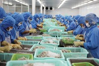 Doanh nghiệp thủy sản đang nỗ lực dịch chuyển thị trường xuất khẩu để giảm thiểu rủi ro từ thị trường Mỹ