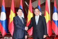 Chủ tịch nước Lương Cường và Thủ tướng Chính phủ Lào Sonexay Siphandone. Ảnh: TTXVN 
