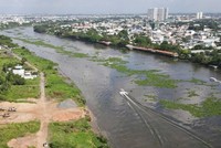 Một đoạn sông Sài Gòn đoạn chảy qua quận 12 chưa được kè hai bên.