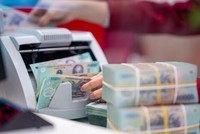 Ngành Thuế thu nộp ngân sách nhà nước khoảng 4,5 nghìn tỷ đồng từ công tác thanh tra, kiểm tra. (Ảnh tư liệu)